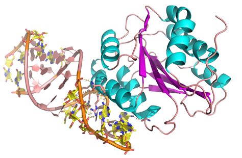 Guardian Therapeutics