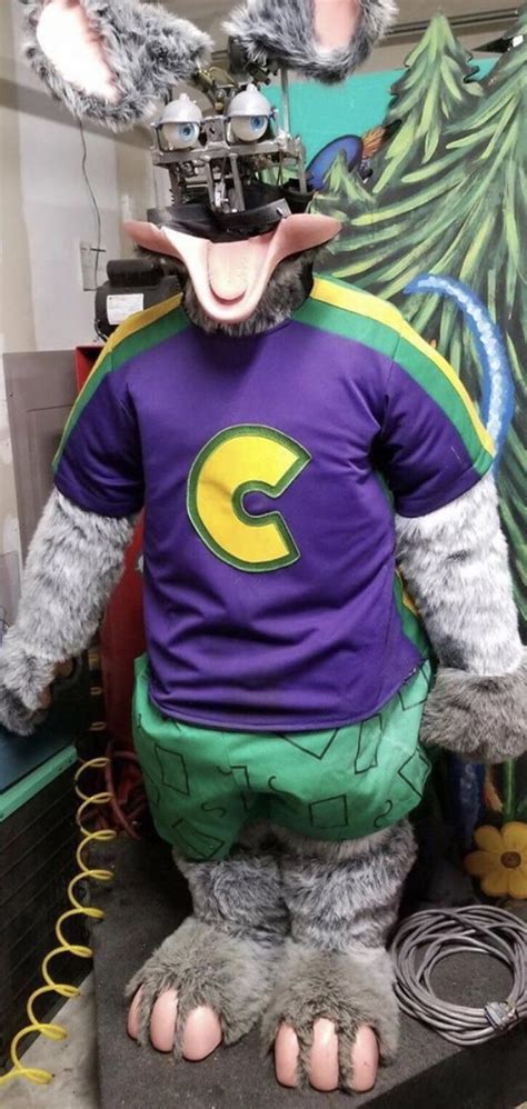 Ebay Chuck E Cheese Costume - Tanner Lacey