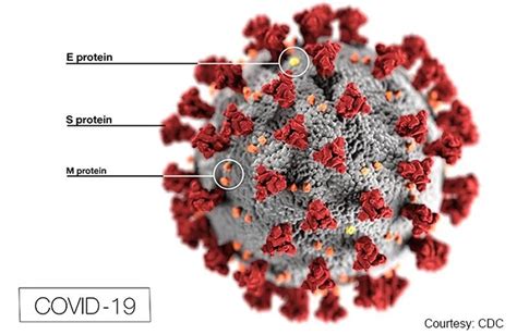 ACE inhibitors and angiotensin receptor blockers may increase the risk ...