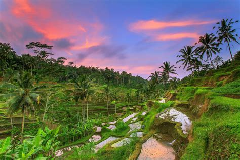 Highlights of Bali & Java | Indonesia Tour 2024 | Costsaver AU