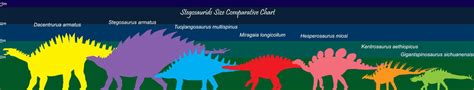 Stegosaurid Sizes by fotostomias on DeviantArt