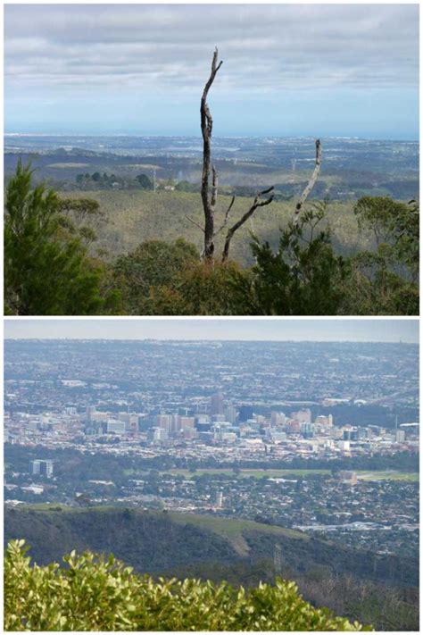 Mount Lofty Summit | Lookout, Restaurant, Cafe & Visitor Centre - What ...