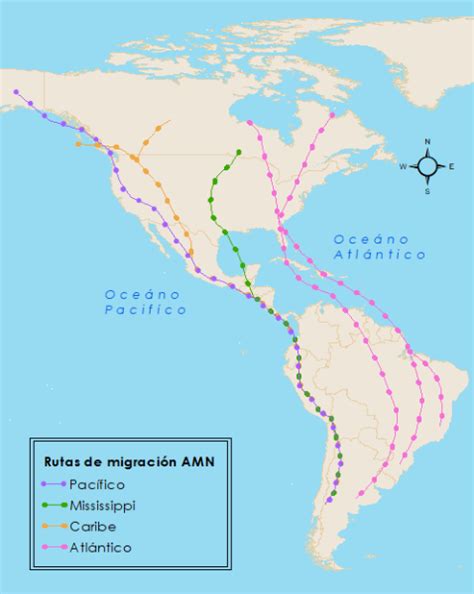 Conservación de aves migratorias neotropicales en Monte Mojino - Conselva, Costas y Comunidades