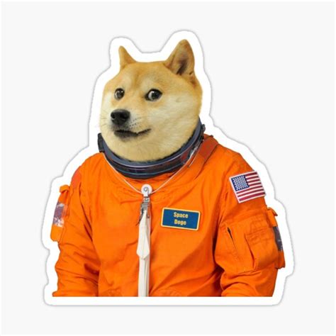 "SPACE DOGE - MEME" Sticker for Sale by Kiviii | Redbubble