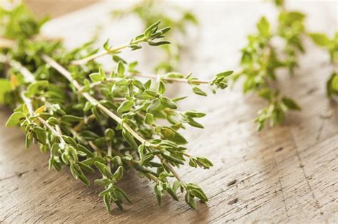 Herbs: Fresh Thyme vs. Dried Thyme | livestrong