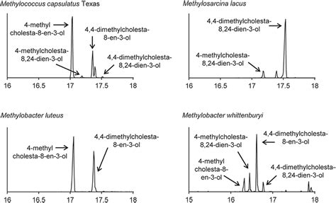 Frontiers | Sterol Synthesis in Diverse Bacteria