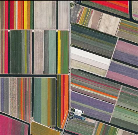 Drone View of Tulips Farm in Holland.. : r/drones