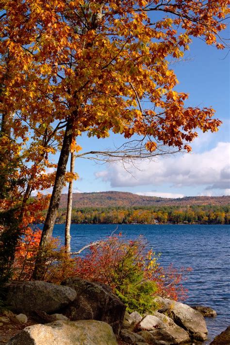 Newfound Lake, NH | Scenic lakes, New hampshire, Resort area