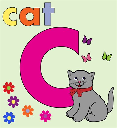 Cat Alphabet Letter C Free Stock Photo - Public Domain Pictures