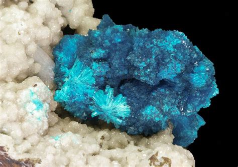 Huge, 1.5" Wide Cavansite Cluster on Stilbite - India (#64819) For Sale ...