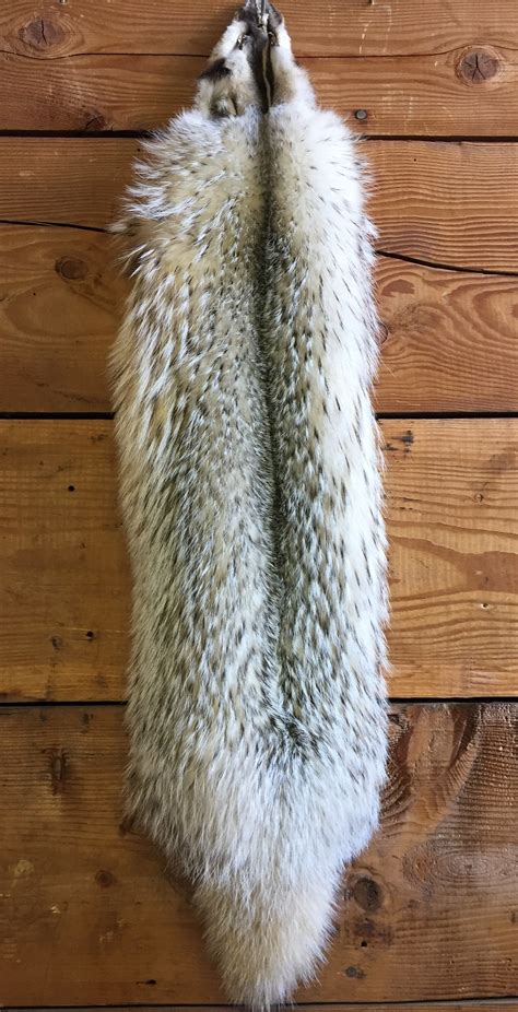 Badger Hide - Tanned Furs, Hides, Pelts & Skins