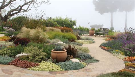 Bliss Garden Design / Dry Garden | Dry garden design, Dry garden ...