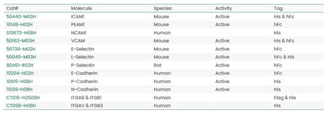 Cell Adhesion Molecules in Immune and Cancer Therapy | Immunology