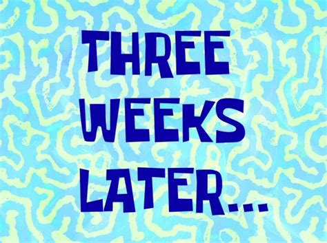 Three Weeks Later... | SpongeBob Time Cards | Know Your Meme Youtube Editing, Video Editing Apps ...