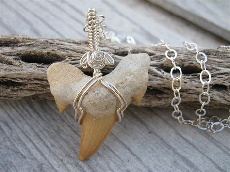 Amazon.com: 20" Fossilized Shark Tooth Necklace, .925 Sterling Silver ...