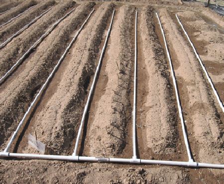 DIY $100 PVC Pipe Drip Irrigation System