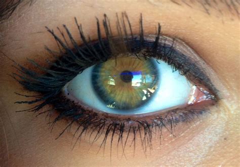 Pin by Lemongrassand Labels on Beautiful Eyes | Green eyes, Beautiful eyes color, Pretty eyes color