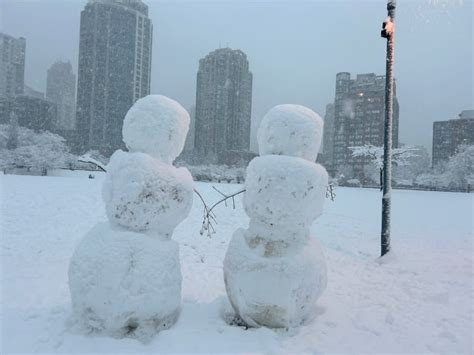 B.C.'s South Coast snowstorm in pictures and video | CBC News