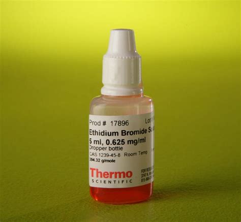 Thermo Scientific Ethidium Bromide Solution (0.625 mg/mL) 5mL:Gel ...