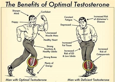 Do Testosterone Boosters Actually Work? | The Authentic Gay