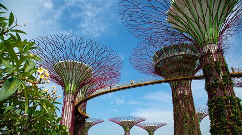 Gardens by the Bay in Singapore, | Expedia.ca