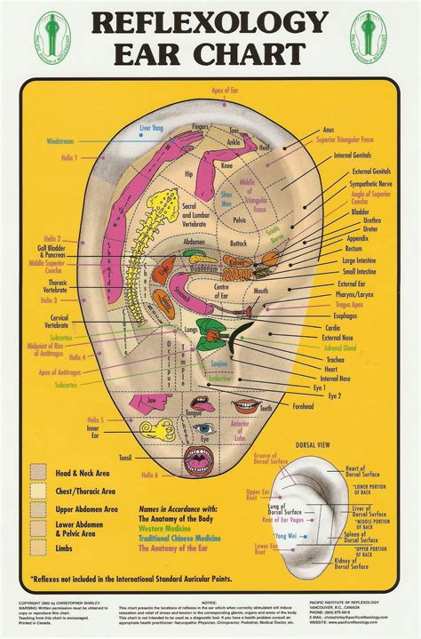 More ears... | Reflexology, Ear reflexology, Reflexology chart