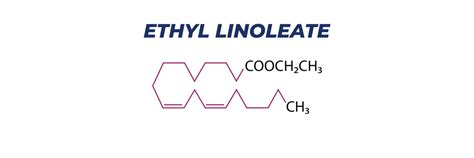 In Focus: Ethyl Linoleate – ExSyn