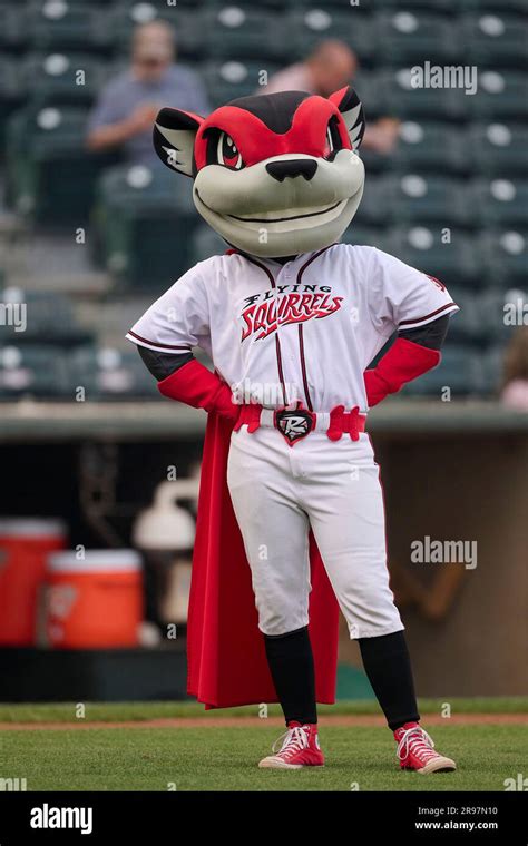 Richmond Flying Squirrels mascot Nutzy before an MiLB Eastern League ...