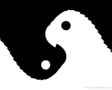 Birds Figure Illusion-123i | Negative space graphic design, Graphic ...