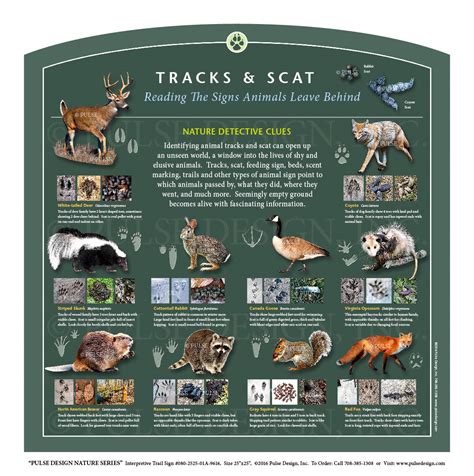 Outdoor Interpretive Nature Trail Sign in Animal Related Series: Animal Tracks & Scat ...