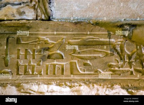 Ancient Egyptian hieroglyphic carvings at the temple of Abydos thought to depict an aircraft ...