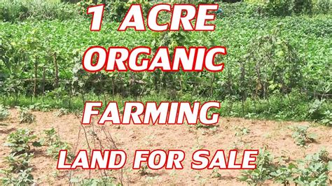 1 ACRE LAND FOR SALE | ORGANIC VEGETABLES FARMING LAND | DOUBLE CROPS ...