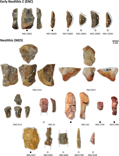 Selected artifacts from the Late Early Neolithic (ENC) and the undated... | Download Scientific ...