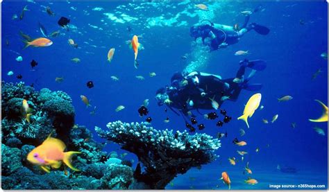 Things to do in Lakshadweep – My CMS