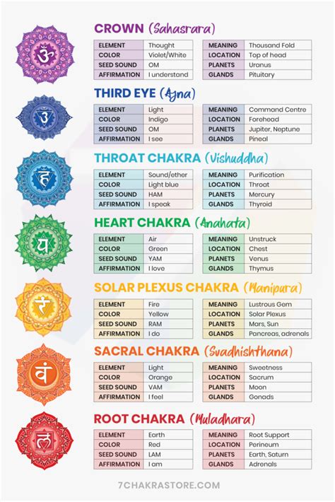 Chakras 101: Everything You Need to Know About Chakras | Ohana