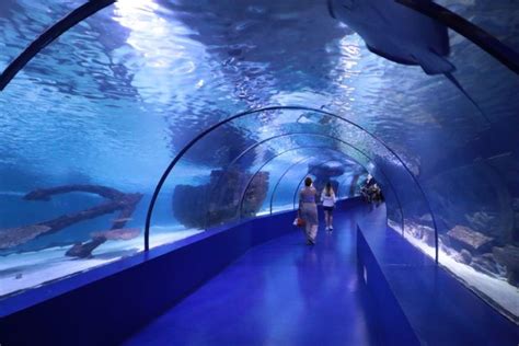 Antalya Aquarium - Turkey Travel Planner