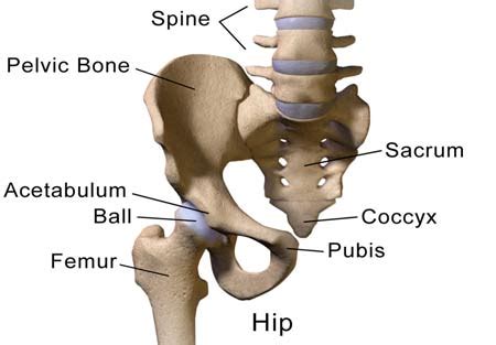 Iliac Crest Pain - Causes, Treatment and Prevention