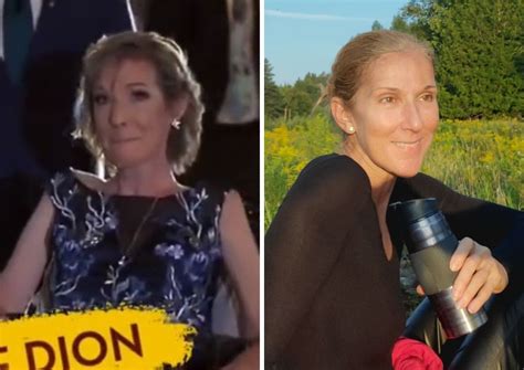 FAKE NEWS: Celine Dion is not dead or in a wheelchair [video]