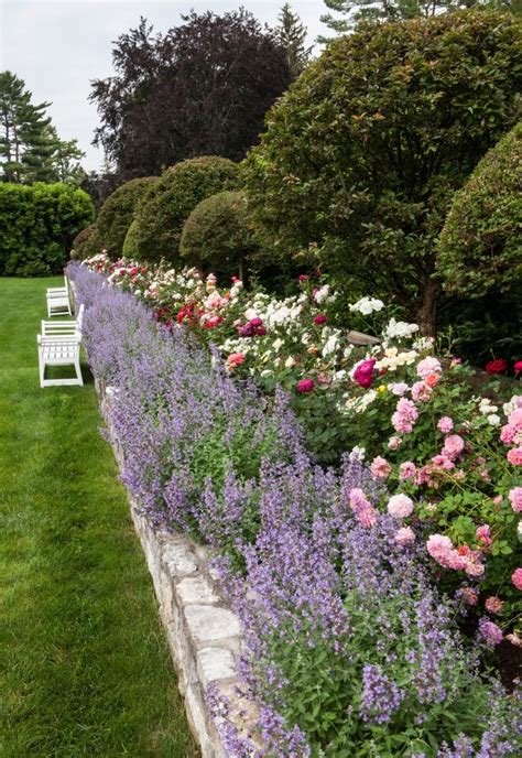 Passions & Posts | Rose garden design, Lavender garden, Beautiful gardens