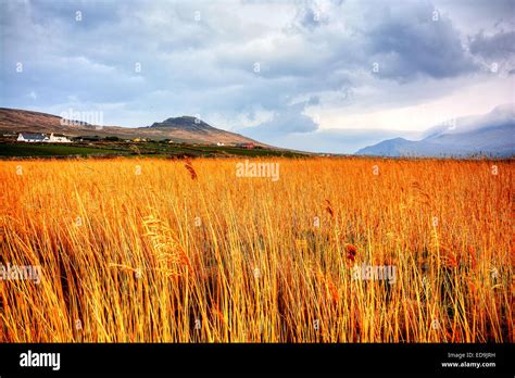 Familiar scenes from the Dingle Peninsula, Ireland Stock Photo - Alamy