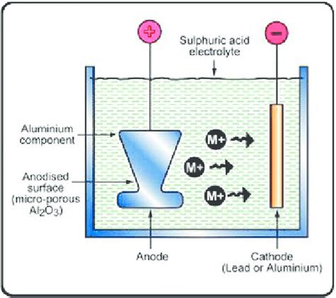 Anodising process of aluminium in sulphuric acid electrolyte... | Download Scientific Diagram