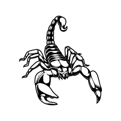 The Scorpion Line Art Vector 5725415 Vector Art at Vecteezy