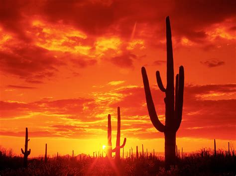 🔥 [91+] Arizona Sunset Wallpapers | WallpaperSafari