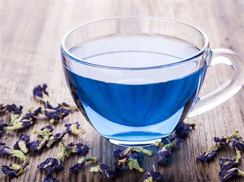 Blue tea: Everything you need to know