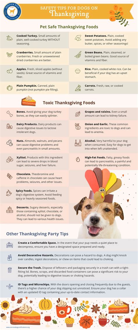 Safety Tips for Dogs on Thanksgiving – Everything You Need to Know