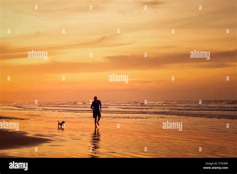 Silhouette of dog running in the water at sunset hi-res stock photography and images - Alamy