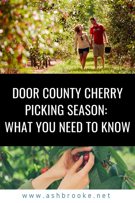 Door County Cherry Picking Season: What You Need to Know | Door county cherries, Door county ...