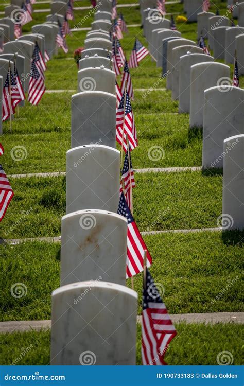 Military Grave Marker Decorated with American Flags Stock Image - Image ...