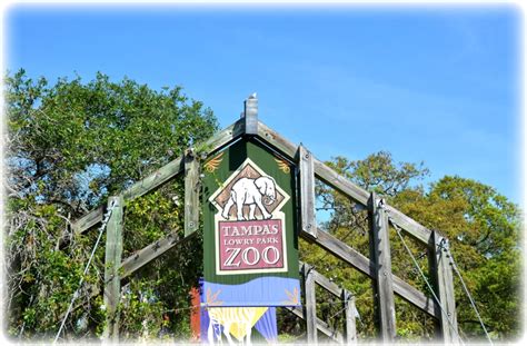 Lowry Park Zoo - Tampa, Florida