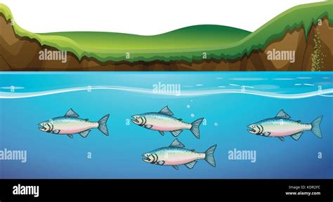 Scene with fish under the river illustration Stock Vector Image & Art - Alamy